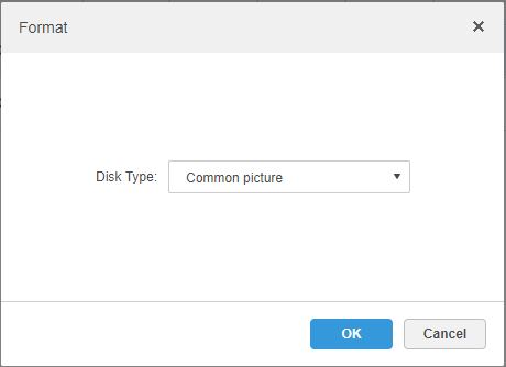 Setup Storage Disk - DSS Manager - 7.jpg