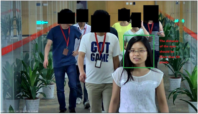 Face Detect Install Scene.png