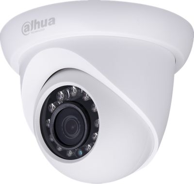 DH-IPC-HDW4221MN.jpg