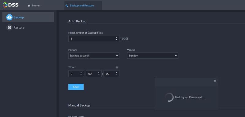 DSS V8 Pro - Backup and Restore - 4.jpg
