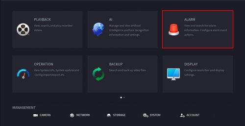 LincX2PRO - Setup Motion Detect Record - SystemUI New - 1.jpg
