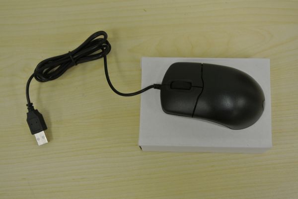 DSC 1928 (Large).JPG