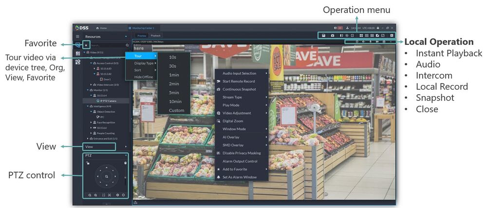 DSS Express V8 Monitoring Liveview.jpg