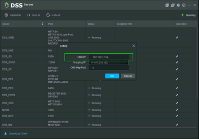 DSS Express S Port Forwarding8.png