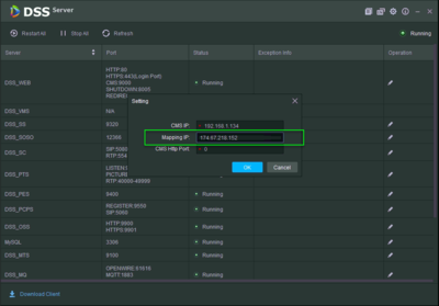 DSS Express S Port Forwarding7.png