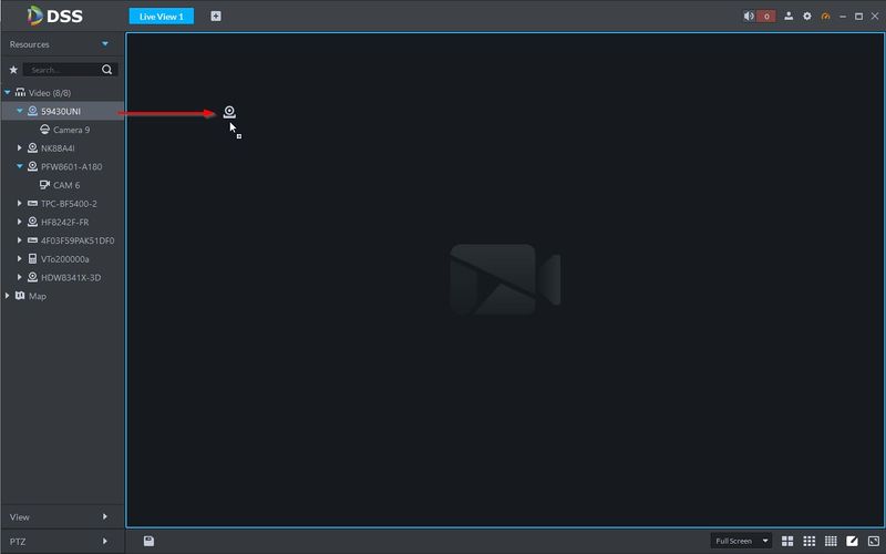 File:Live View - DSS Client - 3.2.jpg