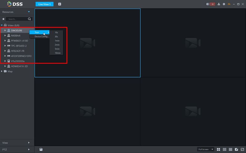 File:Live View - DSS Client - 3.1.jpg