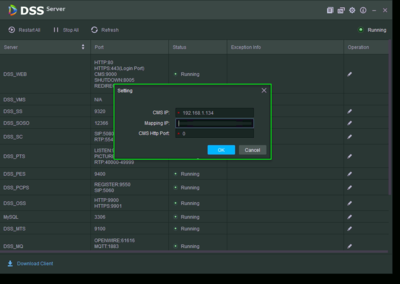 DSS Express S Port Forwarding4.png