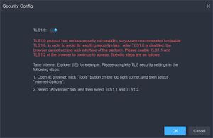 DSS Server Configuration - Security Config.jpg