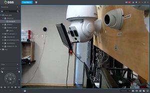 Live View - DSS Client - 3.3.jpg